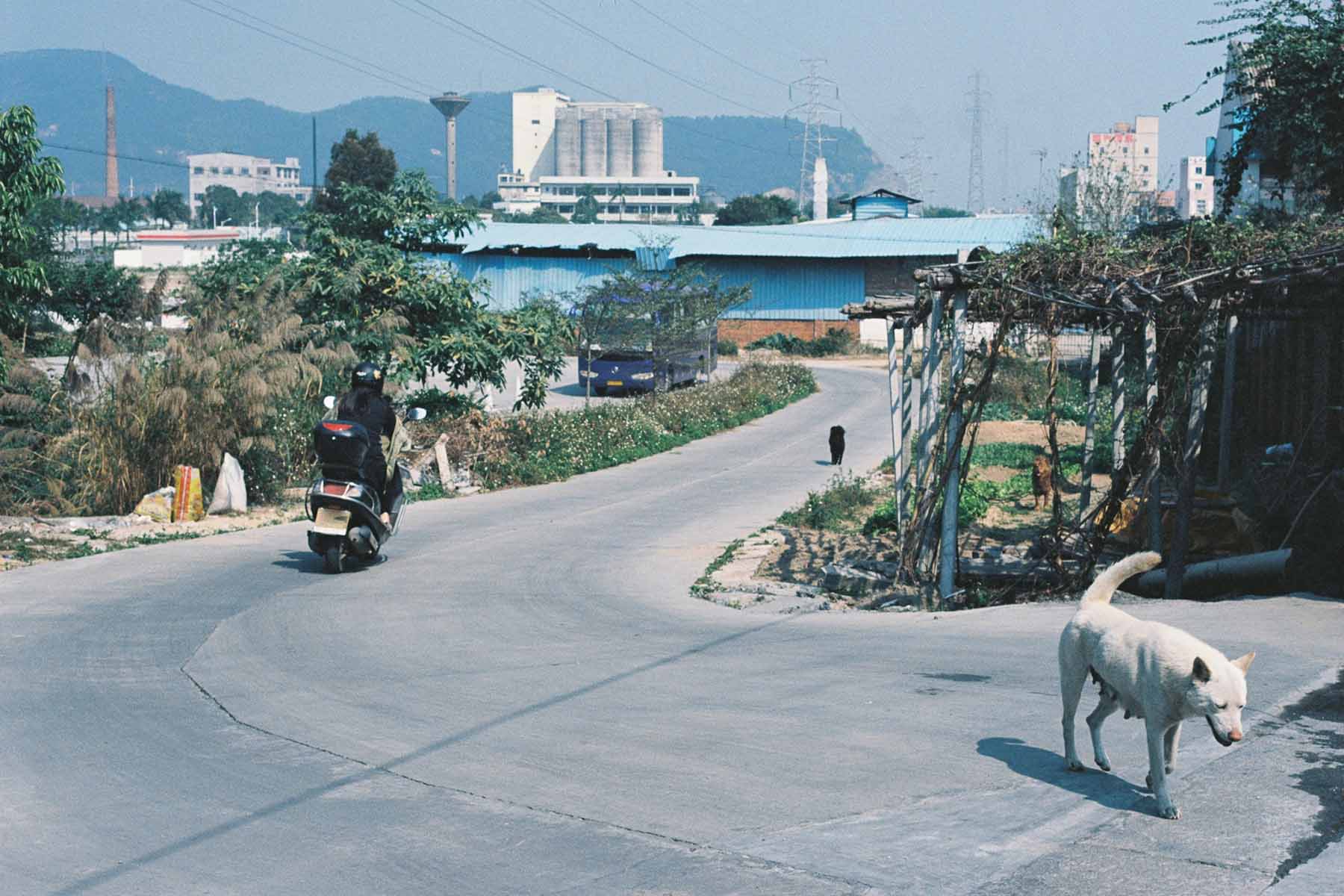 quite-downtown-street-china-dayzoff.jpg